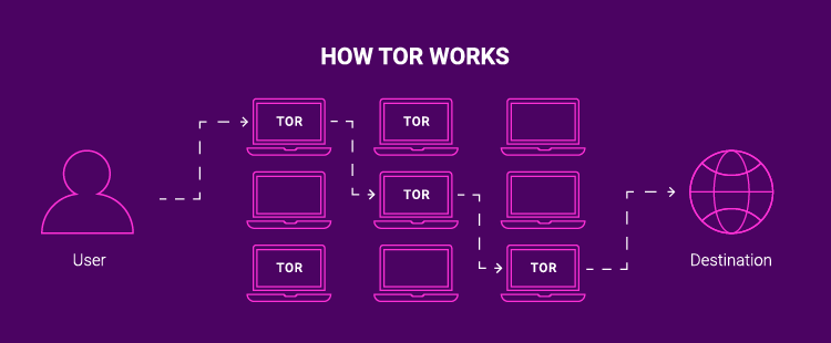 Tor web links